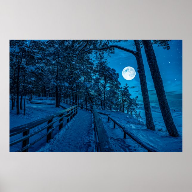 Winterlandschaft mit schneebedecktem Pinienwald Poster (Vorne)