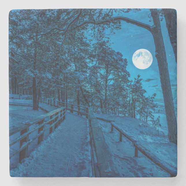 Winterlandschaft mit schneebedecktem Pinienwald Steinuntersetzer (Vorderseite)