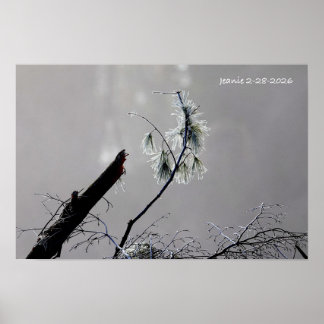 Winterlandschaft Poster