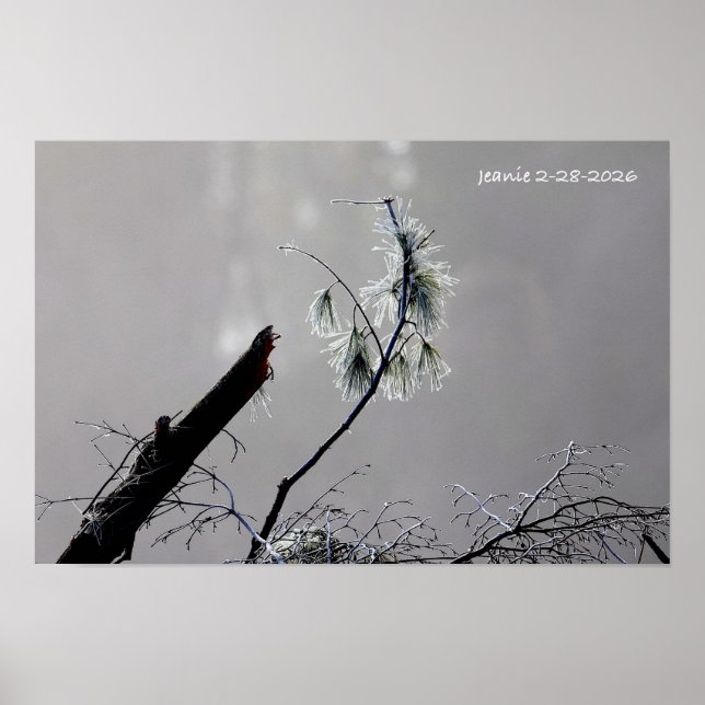 Winterlandschaft Poster (Vorne)