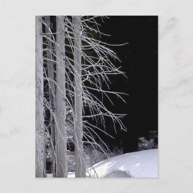 Winterlandschaft Postkarte (Vorderseite)