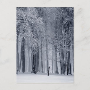 Winterlandschaft Postkarte