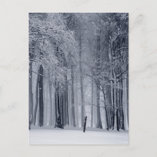 Winterlandschaft Postkarte (Vorderseite)