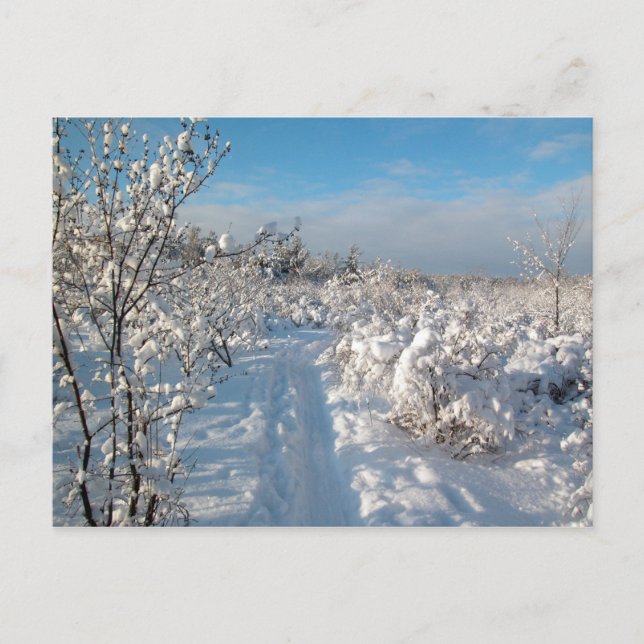 Winterlandschaft - Postkarte (Vorderseite)
