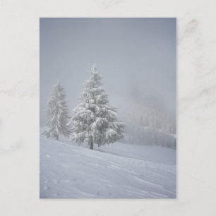 Winterlandschaft Postkarte