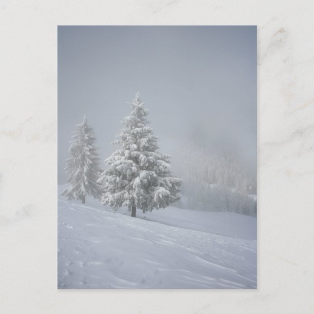Winterlandschaft Postkarte (Vorderseite)