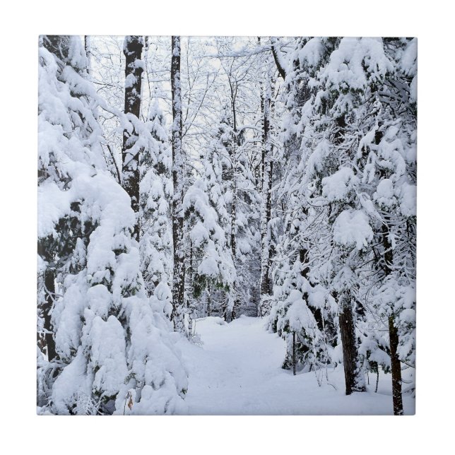 Winterlandschaft Schnee im Wald Fliese (Vorderseite)