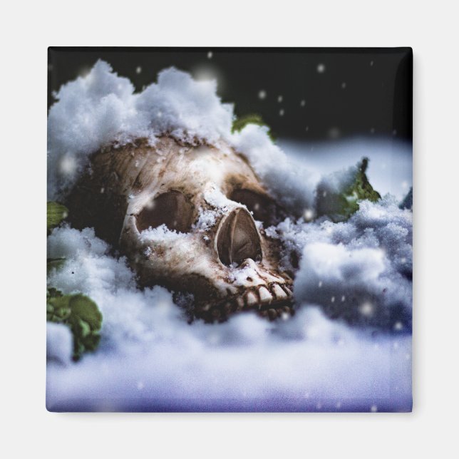 Winterleben IV Magnet (Vorne)