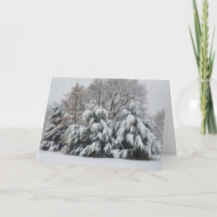 Winterliche Baumschneeszene Natur Weihnachtskarte Karte