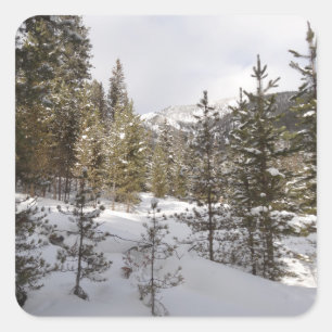 Winterliche Bergszene in Montana Quadratischer Aufkleber