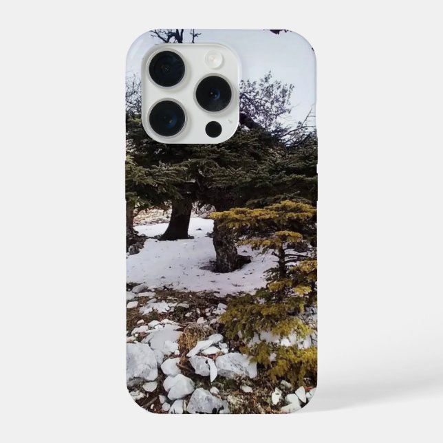 Winterliche Ruhe im Wald iPhone 15 Pro Hülle (Rückseite)
