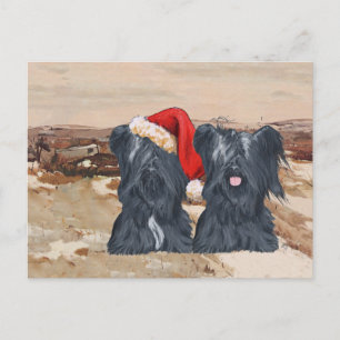 Winterliche Skye Terrier Postkarte