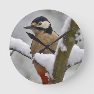 Winterlicher Specht Uhr