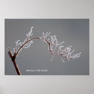 Winterlicher vereister Ast Poster