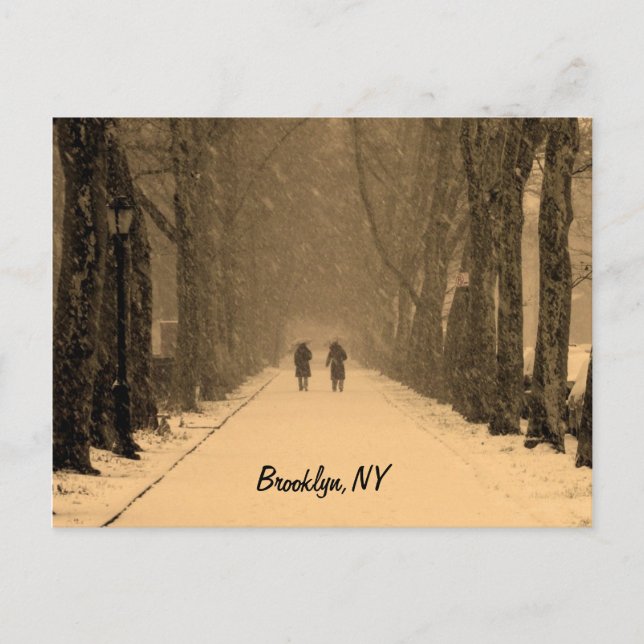 Winterliches Brooklyn Postkarte (Vorderseite)