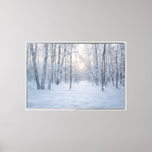 Winterliches Sonnenlicht im stillen Birkenwald