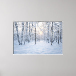 Winterliches Sonnenlicht im stillen Birkenwald Leinwanddruck