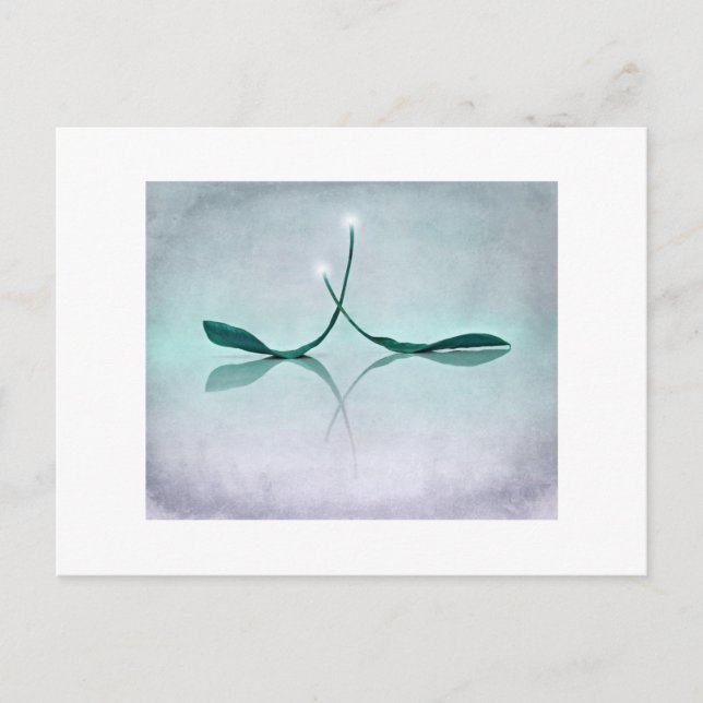 Winterlicht Postkarte (Vorderseite)