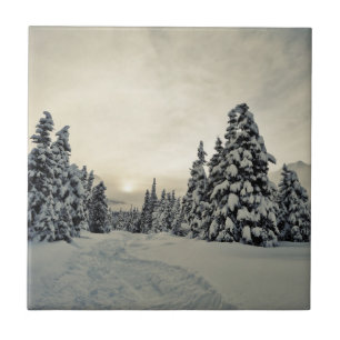 Wintermagie Fliese