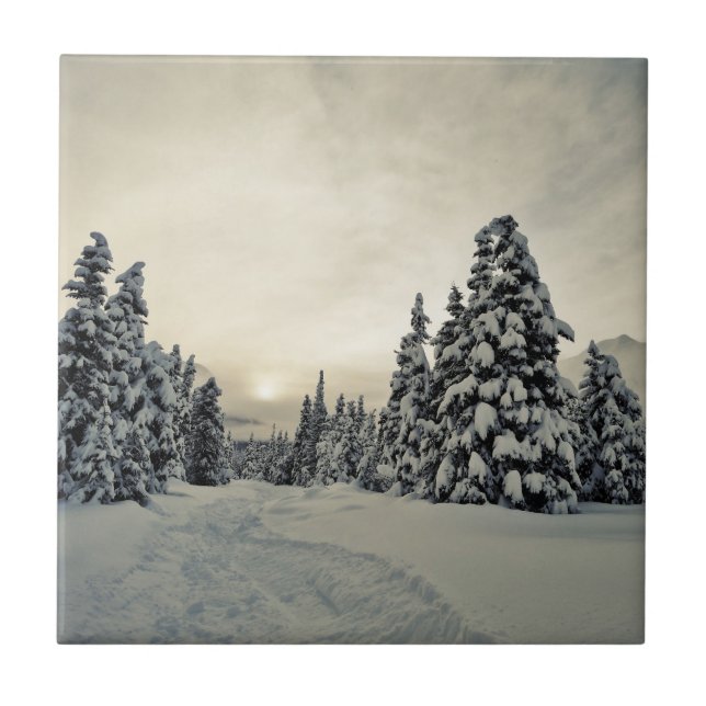 Wintermagie Fliese (Vorderseite)