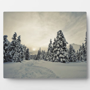 Wintermagie Fotoplatte