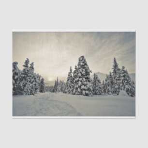 Wintermagie Seidenpapier