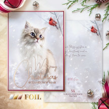 Wintermäler, Kitten & Red Kardinal Bird in Snow - 