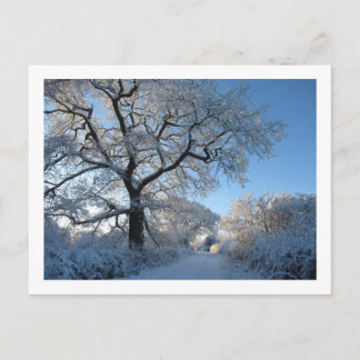 Wintermorgen: Cheshire Postkarte