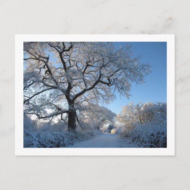 Wintermorgen: Cheshire Postkarte (Vorderseite)