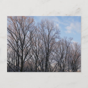 Wintermorgen III Natur Landschaft Postkarte