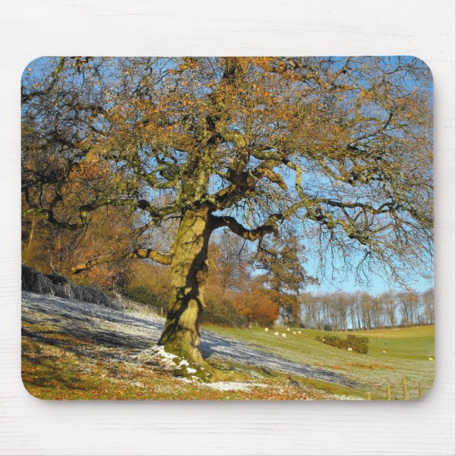 Wintermorgen Mousepad (Vorne)