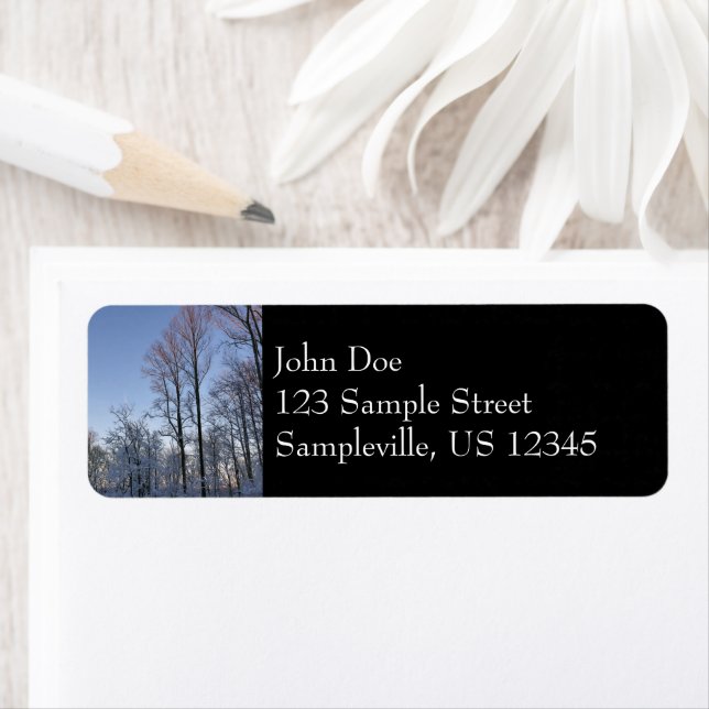 Wintermorgendlicht I (Insitu)