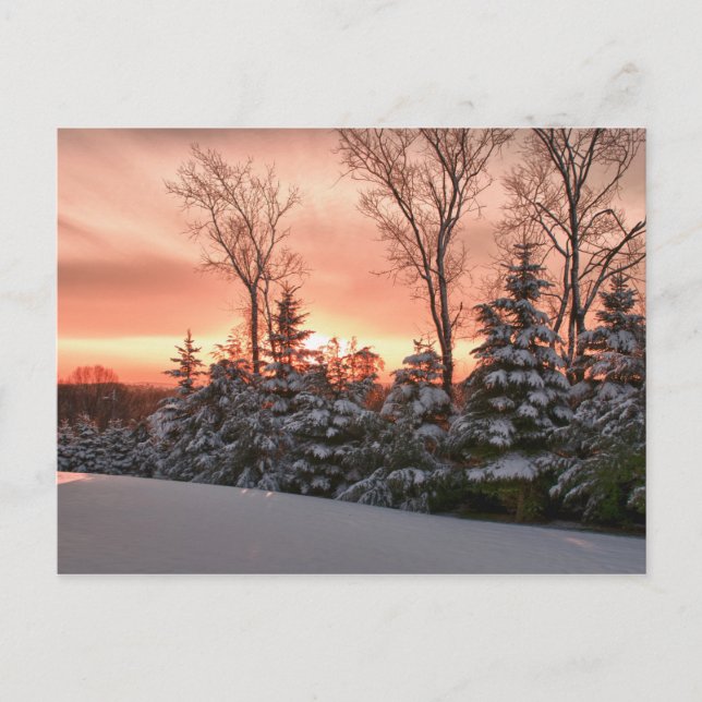 Wintermorgensonnenaufgang Postkarte (Vorderseite)