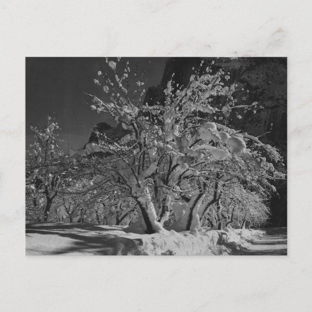 Winternachtszeit Postkarte (Vorderseite)