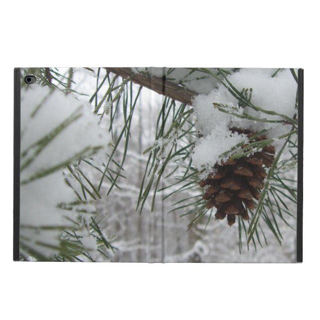 Winternaturfotografie von Snowy Pine Branch (Außenansicht)