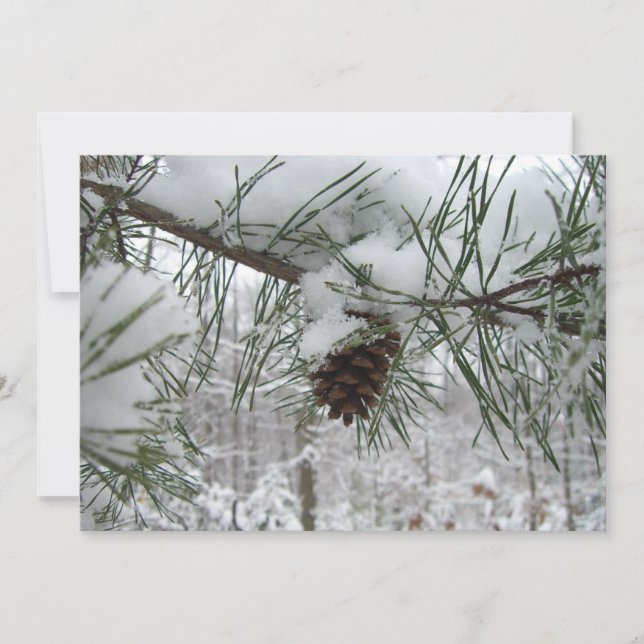 Winternaturfotografie von Snowy Pine Branch (Vorderseite)