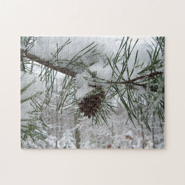 Winternaturfotografie von Snowy Pine Branch (Horizontal)