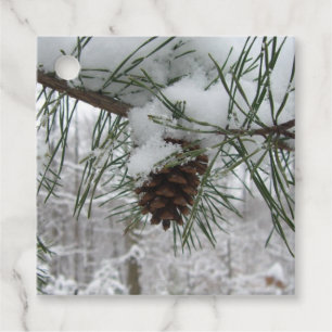 Winternaturfotografie von Snowy Pine Branch Geschenkanhänger