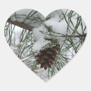 Winternaturfotografie von Snowy Pine Branch Herz-Aufkleber
