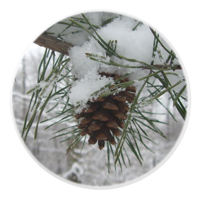 Winternaturfotografie von Snowy Pine Branch Keramikknauf (Vorderseite)
