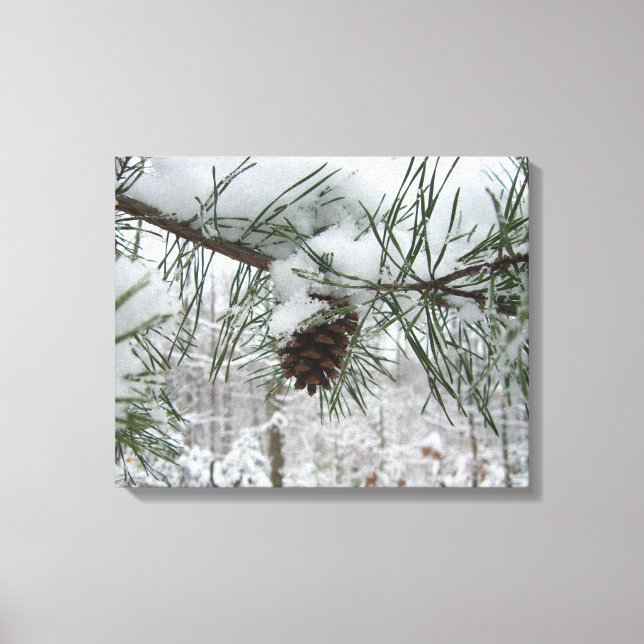 Winternaturfotografie von Snowy Pine Branch Leinwanddruck (Vorderseite)