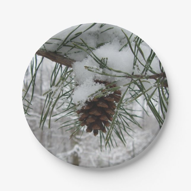 Winternaturfotografie von Snowy Pine Branch Pappteller (Vorderseite)
