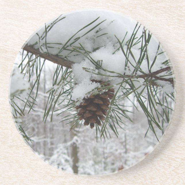 Winternaturfotografie von Snowy Pine Branch Sandstein Untersetzer (Vorne)