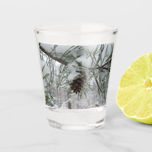 Winternaturfotografie von Snowy Pine Branch Schnapsglas (Vorderseite)