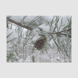 Winternaturfotografie von Snowy Pine Branch Seidenpapier