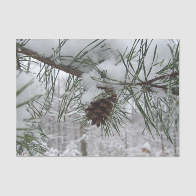 Winternaturfotografie von Snowy Pine Branch Seidenpapier (Vorderseite)