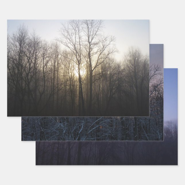 Winternebel Naturfotografie Geschenkpapier Set (Set)
