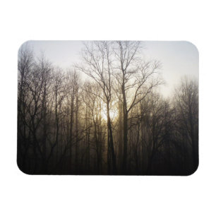 Winternebel Naturfotografie Magnet
