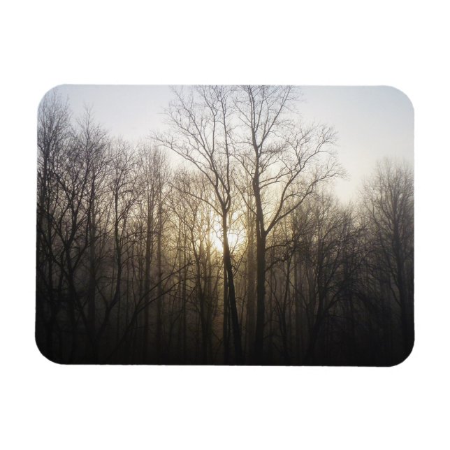 Winternebel Naturfotografie Magnet (Horizontal)