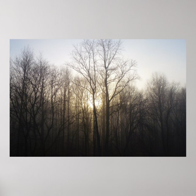 Winternebel Naturfotografie Poster (Vorne)